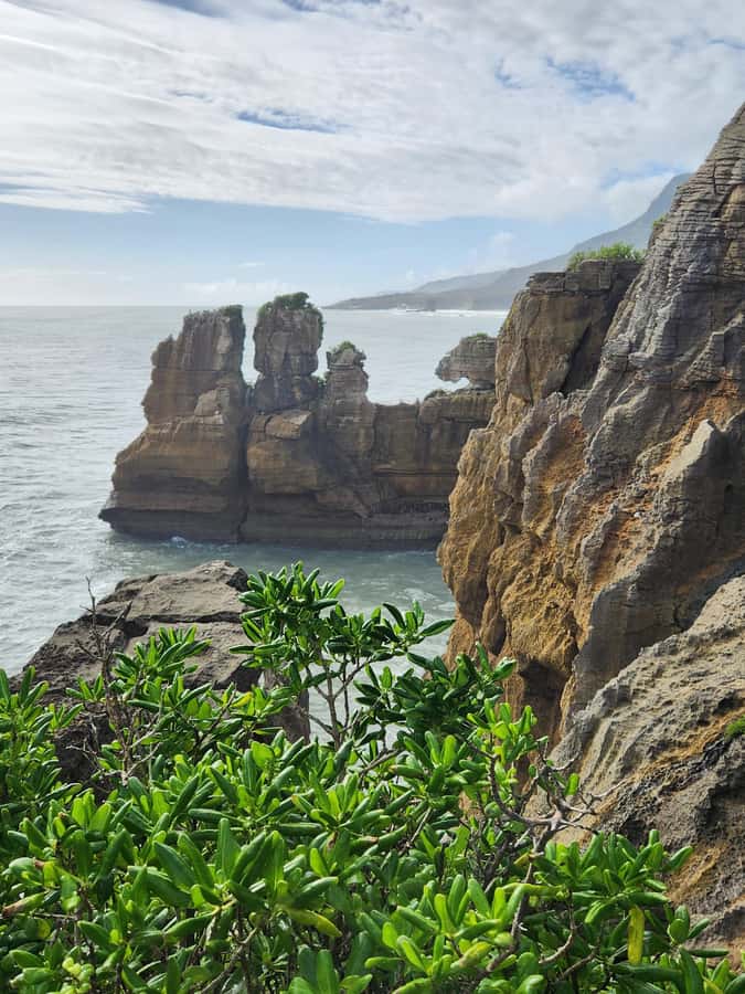 Greymouth: Full-Day Best Of The West Tour - Who Should Book, and Who Should Rethink This Tour