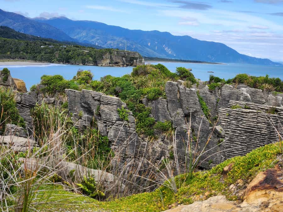 Greymouth: Full-Day Best Of The West Tour - Quick planning tips for your day