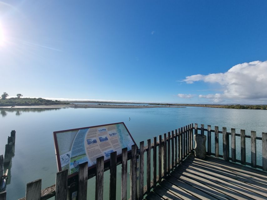 Greymouth: Glacier, Heritage & Wildlife Centre Guided Tour - Glacier Valley walk: your 30-minute return plan, with real-world flexibility