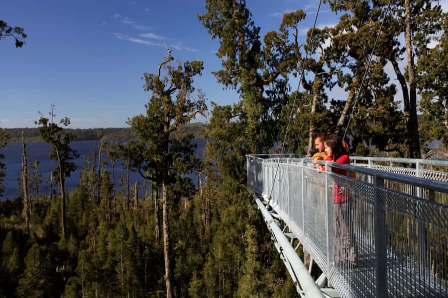 Greymouth: Hokitika Gorge and Tree Top Walkway Half-Day Tour - Greymouth to Hokitika Gorge: the coast-to-bush scenic drive