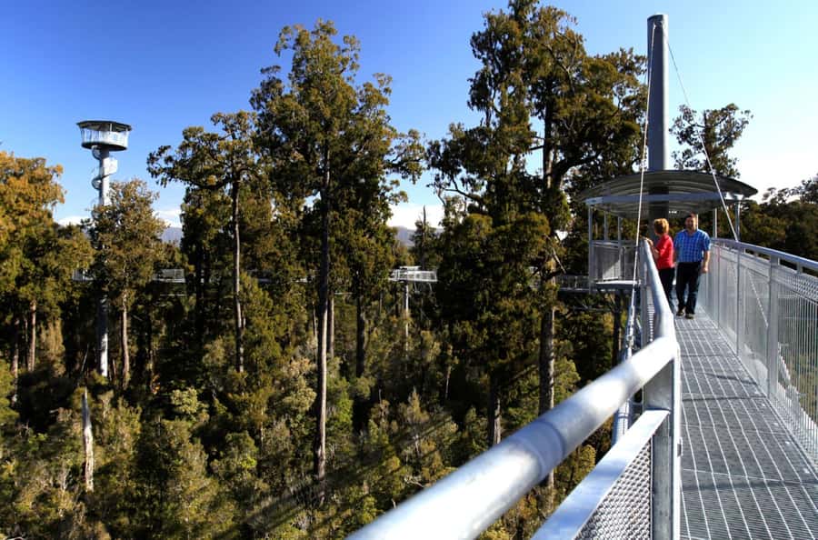 Greymouth: Hokitika Gorge and Tree Top Walkway Half-Day Tour - Tree Top Walkway: 450 meters of steel platform with birdsong overhead