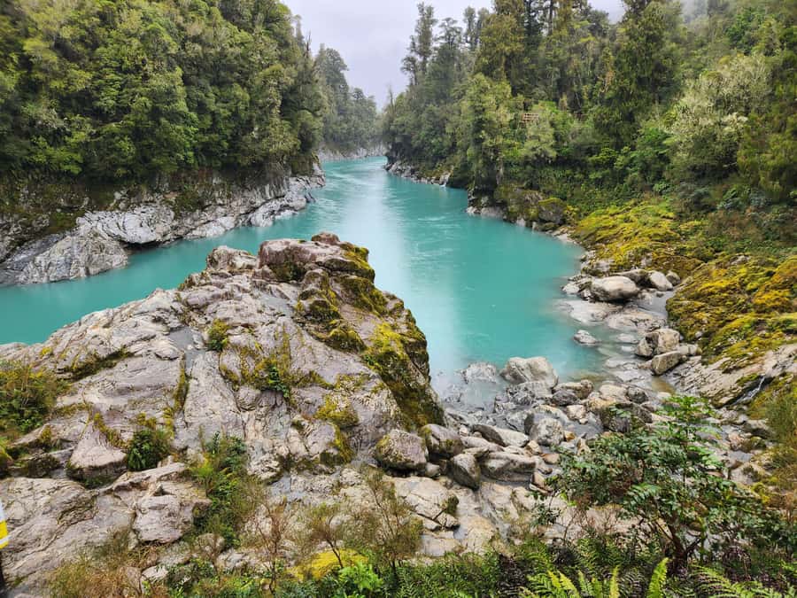 Greymouth: Hokitika Gorge and Tree Top Walkway Half-Day Tour - How the four hours actually plays out