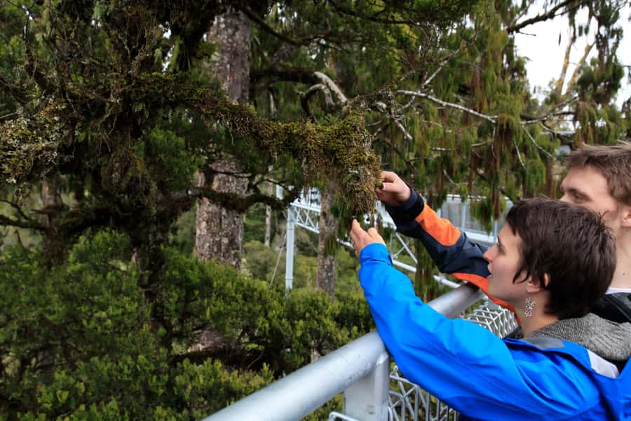 Greymouth: Hokitika Gorge and Tree Top Walkway Half-Day Tour - What to bring for Hokitika Gorge and treetops in real weather