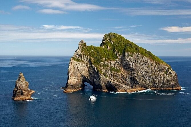 Group tour to Bay of Islands return from Auckland - Price and Value: $284.84 and What You Really Get for It