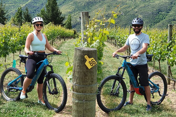 Guided eBike Wine Tour Ride to the Vines - Key highlights you’ll feel from minute one