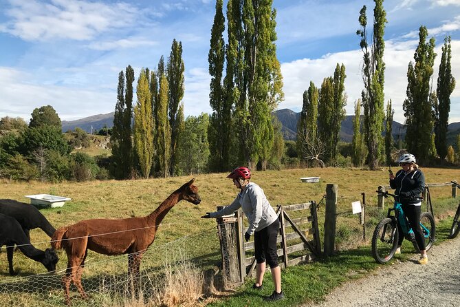 Guided eBike Wine Tour Ride to the Vines - Why this ride-first wine-after plan works so well