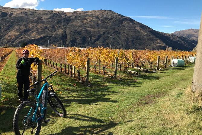 Guided eBike Wine Tour Ride to the Vines - The two-winery finale in Gibbston: tastings, platter, and wine talk