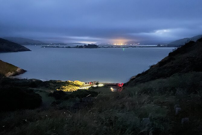 Guided Evening Penguin Viewing Otago Peninsula, Dunedin, New Zealand - The magic of Otago Peninsula’s “come home” moment
