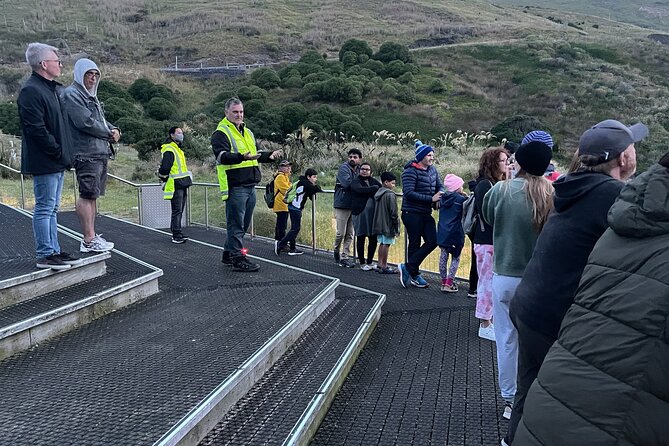 Guided Evening Penguin Viewing Otago Peninsula, Dunedin, New Zealand - Dressing like you’re going to a cold lookout, not a street café