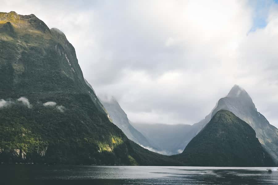 Guided Private Milford Sound Day Tour from Te Anau(Cruise In - The Drive Through Fiordland, Built Around Stops and Stories