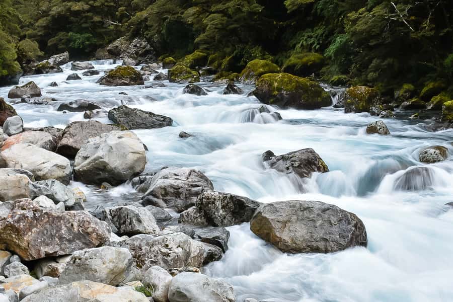 Guided Private Milford Sound Day Tour from Te Anau(Cruise In - Personalization That Feels Real, Not Just Marketing