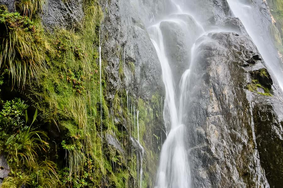 Guided Private Milford Sound Day Tour from Te Anau(Cruise In - Price and Value: Is $209 Worth a Private Day?