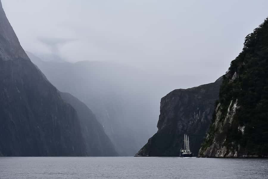 Guided Private Milford Sound Day Tour from Te Anau(Cruise In - Should You Book This Private Milford Sound Day Tour?