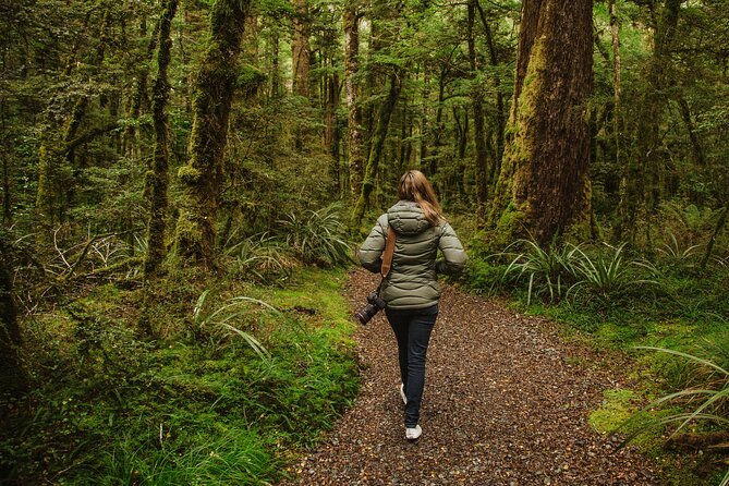 Guided Private Milford Sound Day Tour from Te Anau(Cruise Included) - Milford Sound cruise: the 2-hour part you will remember