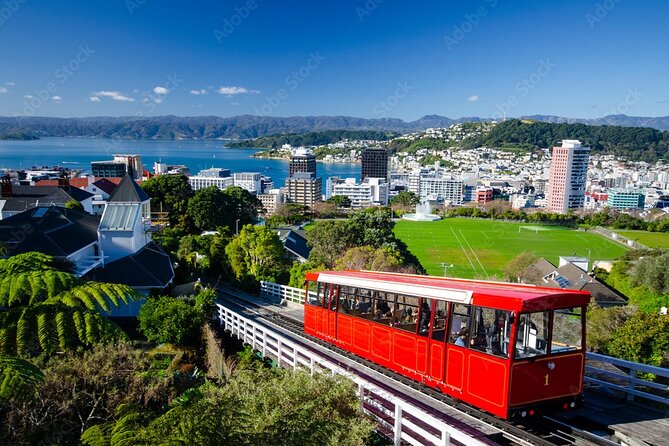 Guided Small Group Walking Tour in Wellington - Cable Car summit orientation: views, landmarks, and a breather
