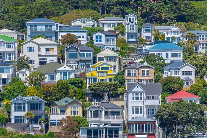Guided Small Group Walking Tour in Wellington - Price, pace, and who this small-group walk is really for