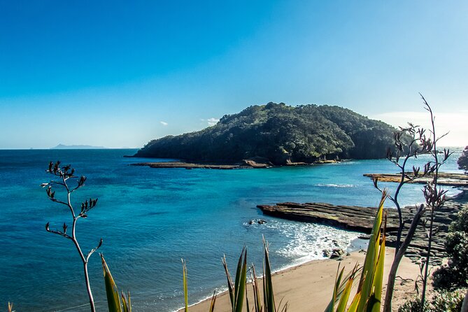 Guided Snorkel Experience, Advanced - Safety briefing first, then skills in the water