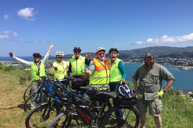 Guided Wellington Tour by Electric Bike - Queens Wharf start, quick setup, and a test ride that matters