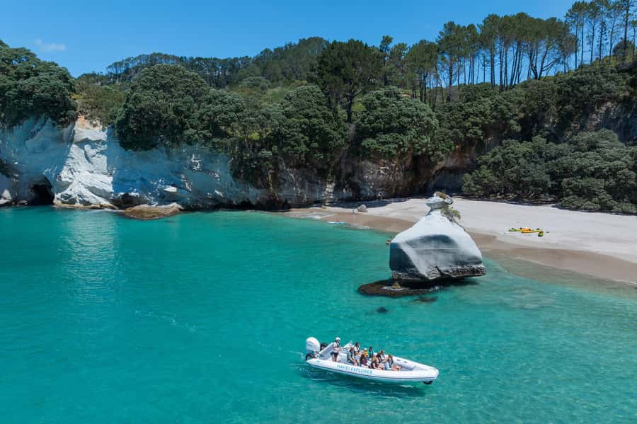 Hahei Explorer Cathedral Cove Boat Tour - Sea caves and blowholes: where the best photos come from