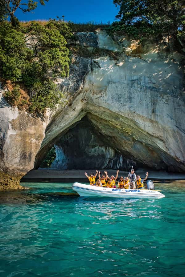 Hahei Explorer Cathedral Cove Boat Tour - Marine life up close: the reserve changes the vibe
