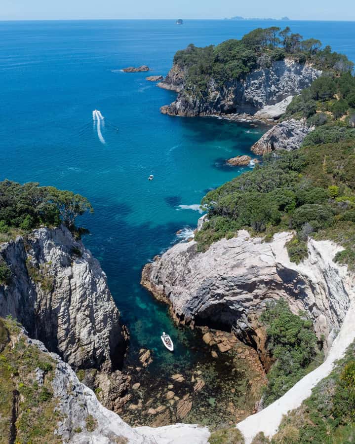 Hahei Explorer Cathedral Cove Boat Tour - Small-group setup: less crowding, more attention