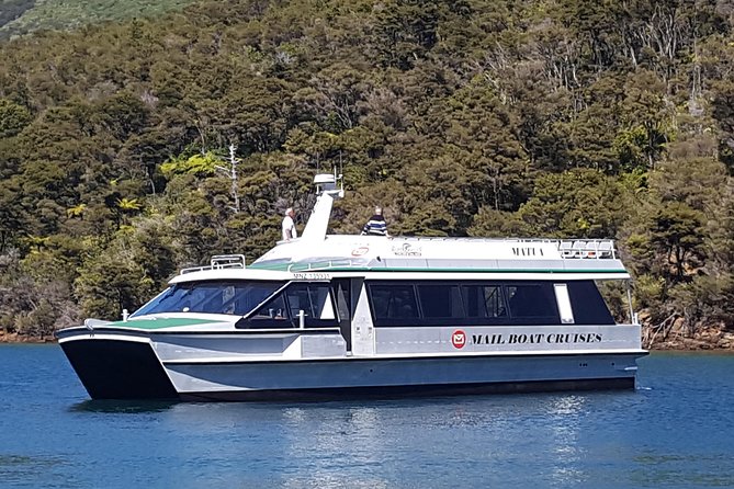 Half-Day Cruise in Marlborough Sounds from Picton - Marlborough Sounds in half a day: why the 9:00am start works