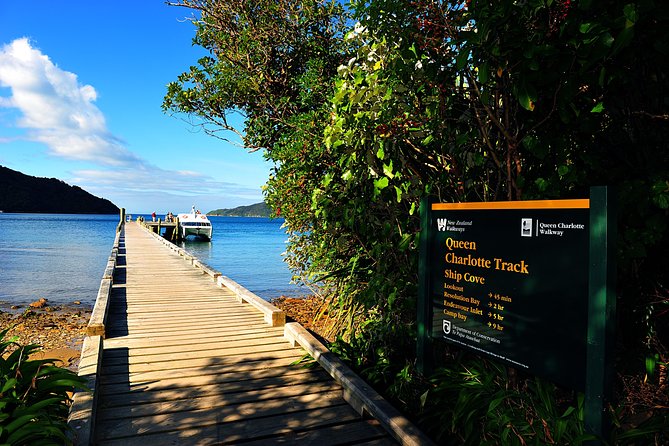 Half-Day Cruise in Marlborough Sounds from Picton - Getting to London Quay, and what happens if you are on a cruise ship