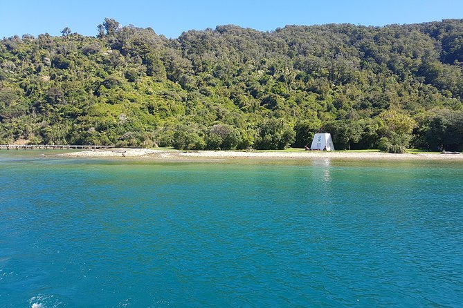 Half-Day Cruise in Marlborough Sounds from Picton - The return through Endeavour Inlet: why it feels like a working waterway