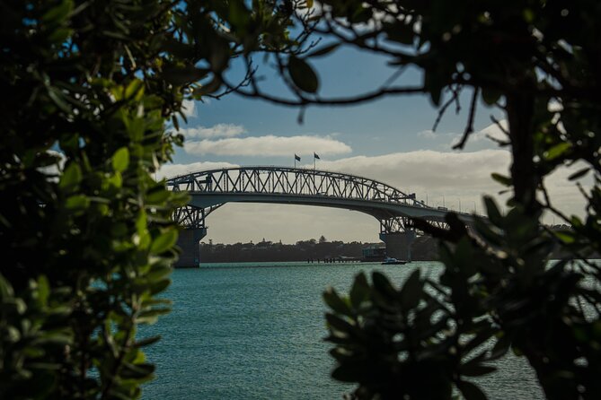 Half-day Discover Auckland City Sightseeing Tour - The Auckland Highlights Loop That Saves You Days
