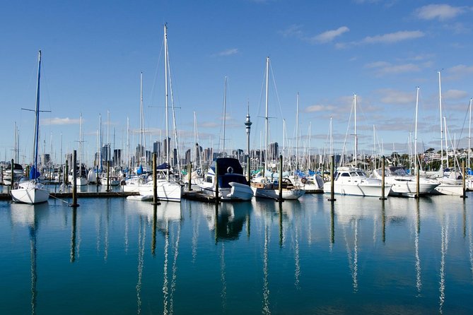 Half-day Discover Auckland City Sightseeing Tour - Live Commentary That Turns Stops Into a Story