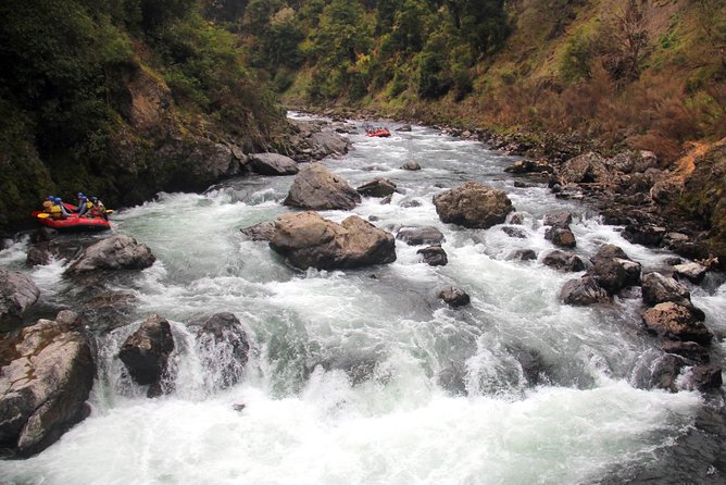 Half Day, Grade 5, White Water Rafting on the Rangitikei River - Views and Scenery You Can Only See This Way