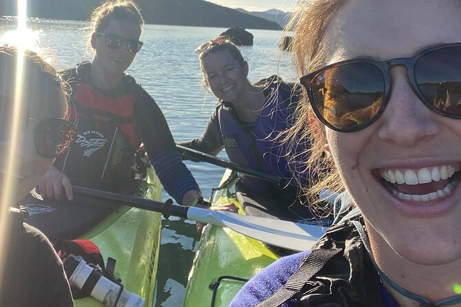 Half-Day Guided Sea Kayak Trip from Picton - Key highlights to know before you go
