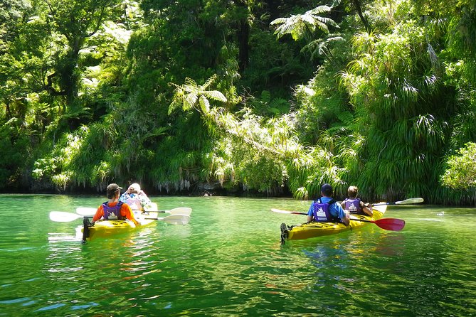 Half-Day Guided Sea Kayak Trip from Picton - Why Picton is the quick door into Queen Charlotte Sound