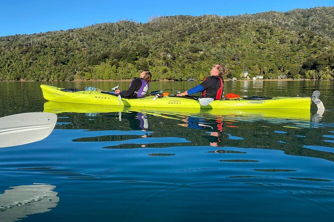 Half-Day Guided Sea Kayak Trip from Picton - From meeting point to water time: what the first hours feel like
