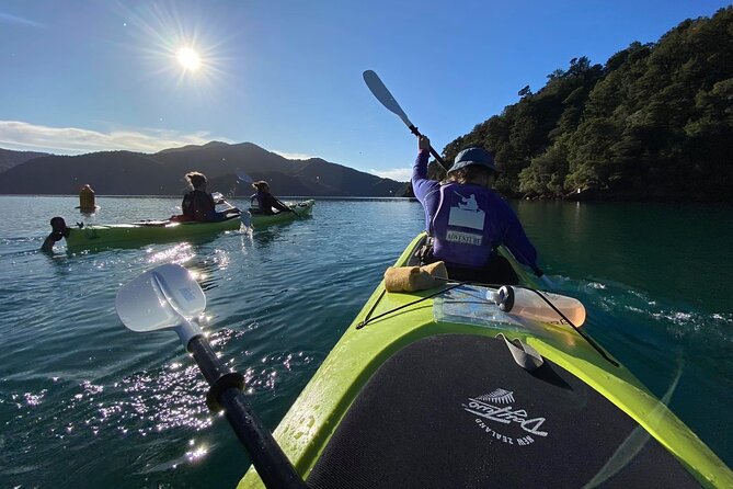 Half-Day Guided Sea Kayak Trip from Picton - Why the route includes real beaches and bush-lined shorelines