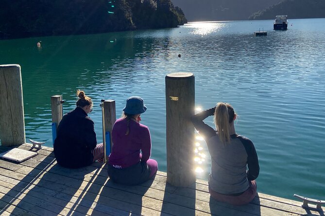 Half-Day Guided Sea Kayak Trip from Picton - The 4 hour paddle plan: Grove Arm cruising, then Ngakuta Bay
