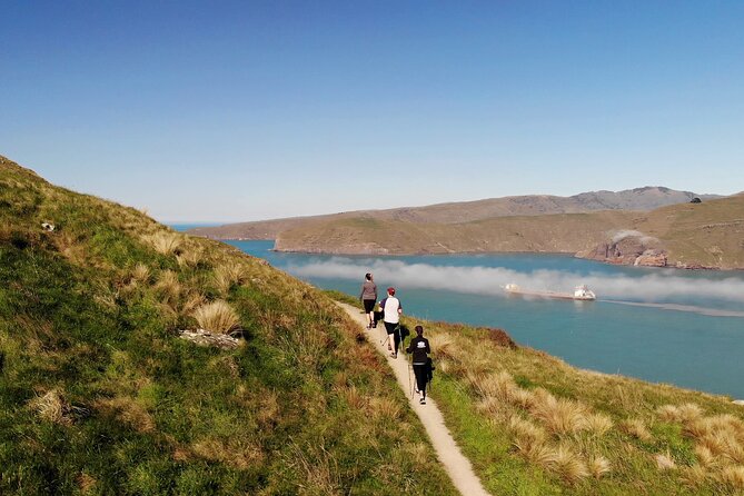 Half Day Guided Walking Tour on Banks Peninsula - Getting to the start fast, with less hassle