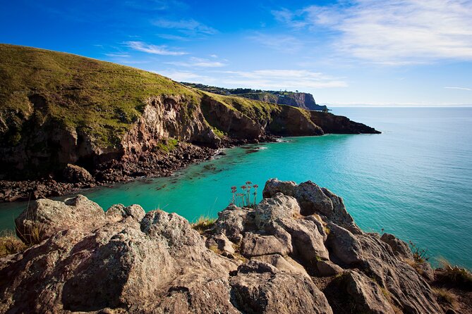 Half Day Guided Walking Tour on Banks Peninsula - Guides make the difference, from Nicole to Helen to Dee