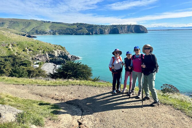 Half Day Guided Walking Tour on Banks Peninsula - What to pack and how to enjoy the day more