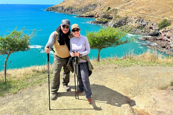 Half Day Guided Walking Tour on Banks Peninsula - Who this half-day Godley Head walk suits best