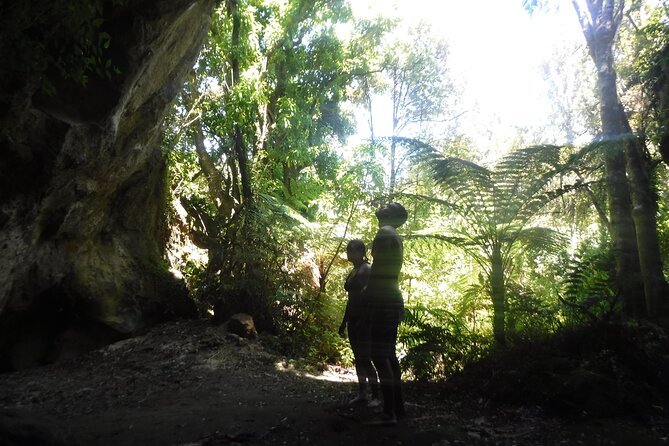 Half-Day Kayak to the Maori Rock Carvings in Lake Taupo - How hard is it, really, and who should sign up