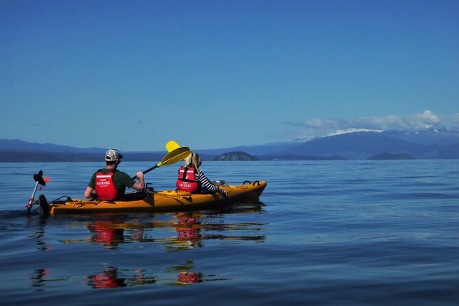 Half-Day Kayak to the Maori Rock Carvings in Lake Taupo - The paddle to Mine Bay: scenery plus small-water skills