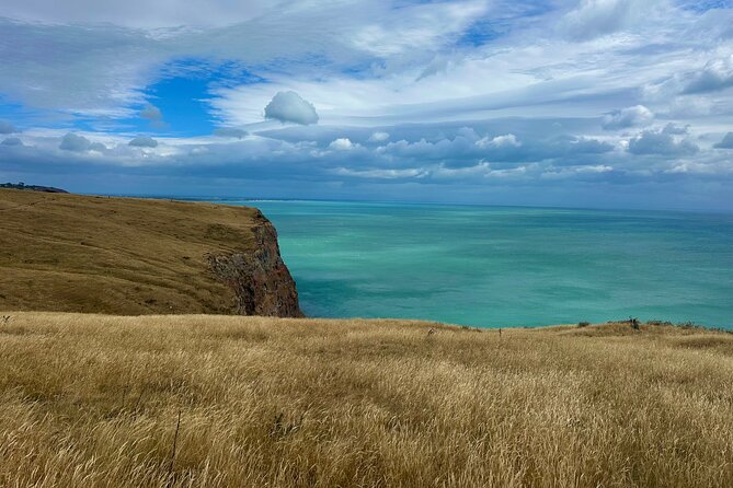 Half Day Luxury Private Guided Crater Rim Walk - Pacing and control: how a private guide changes the whole experience
