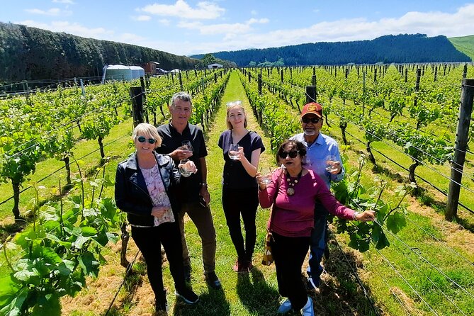 Half Day Martinborough Winery Tour from Wellington - Guides and group size, the real reason people rate this so high