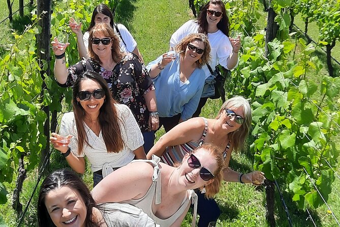 Half Day Martinborough Winery Tour from Wellington - C’est Cheese, the quick optional stop that can save your snack game