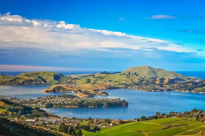 Half-Day Private City, Sights & Wildlife Tours - Baldwin Street and The Octagon: The Quick Hits of Otepoti Dunedin
