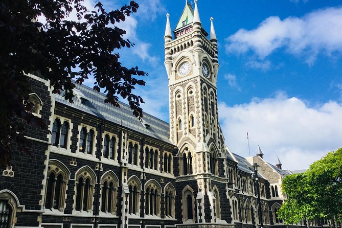 Half day Private Tour of Dunedin City Highlights and Peninsula Scenery - What you should bring and how to plan your day