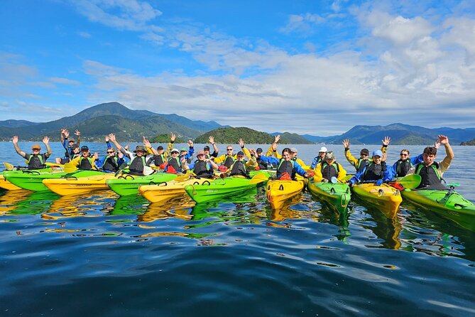 Half day Sea Kayak Guided Tour from Picton - Why this half-day Picton kayak tour fits real travel days