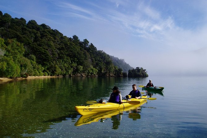 Half day Sea Kayak Guided Tour from Picton - Marlborough Sounds natural history you can use on the water