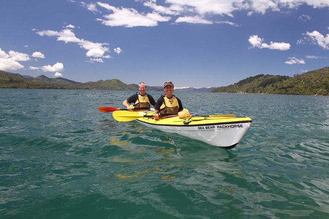 Half day Sea Kayak Guided Tour from Picton - Gear and comfort: what is included, what you should prepare for